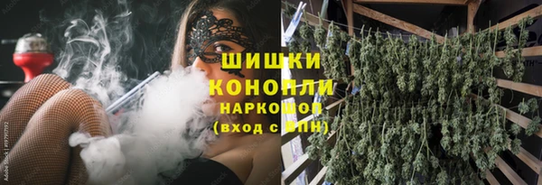 соль ск Касимов