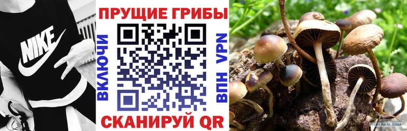 Псилоцибиновые грибы GOLDEN TEACHER  Купить закладки  Верхнеуральск 